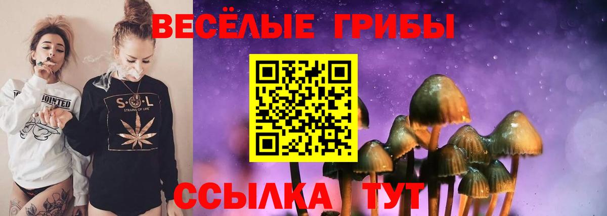 Щёлково  Галлюциногенные грибы Magic Shrooms  Вход с VPN 